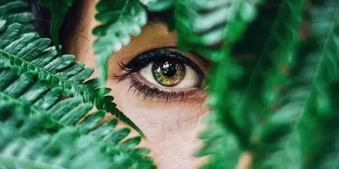 όραση και ασκήσεις για την αποκατάσταση της